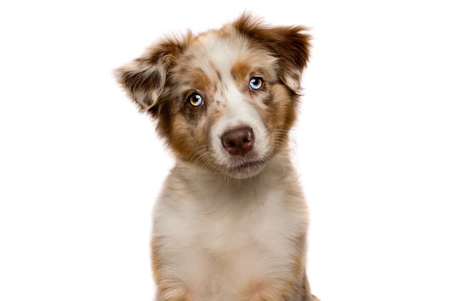 Симпатяги :-) 