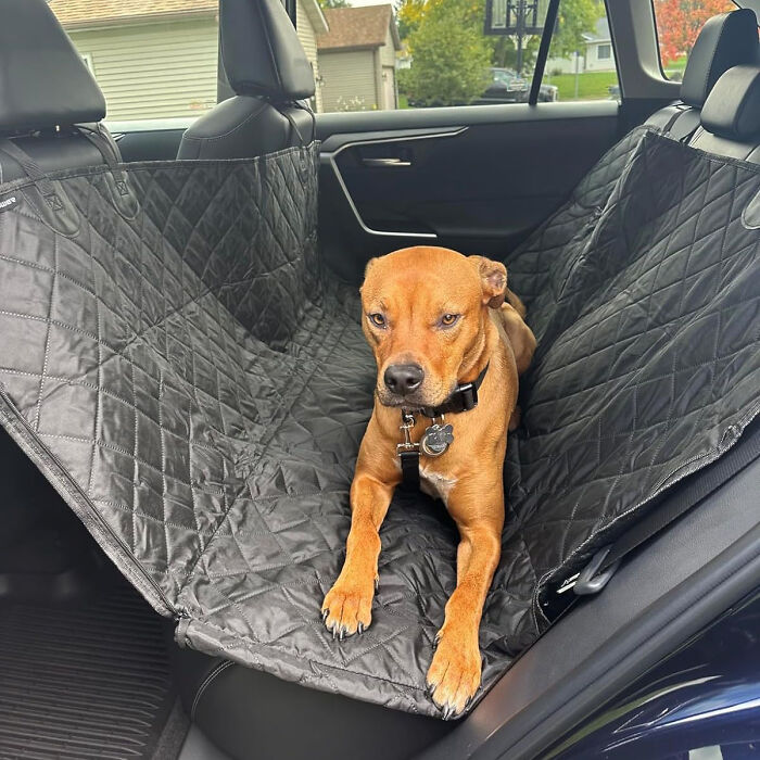 Road Trips Redefined: The Extra Stable Dog Car Seat - Secure, Waterproof Comfort For Your Pooch