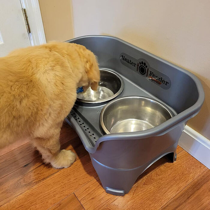 The Neater Feeder Express Dog Bowls - Elevate Your Big Dog's Dining Experience With No Mess!