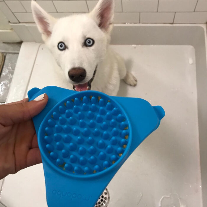 Turn Mealtime Into Playtime: The Aquapaw Premium Licking Mat , Your Secret Weapon Against Big Dog Boredom And Anxiety!