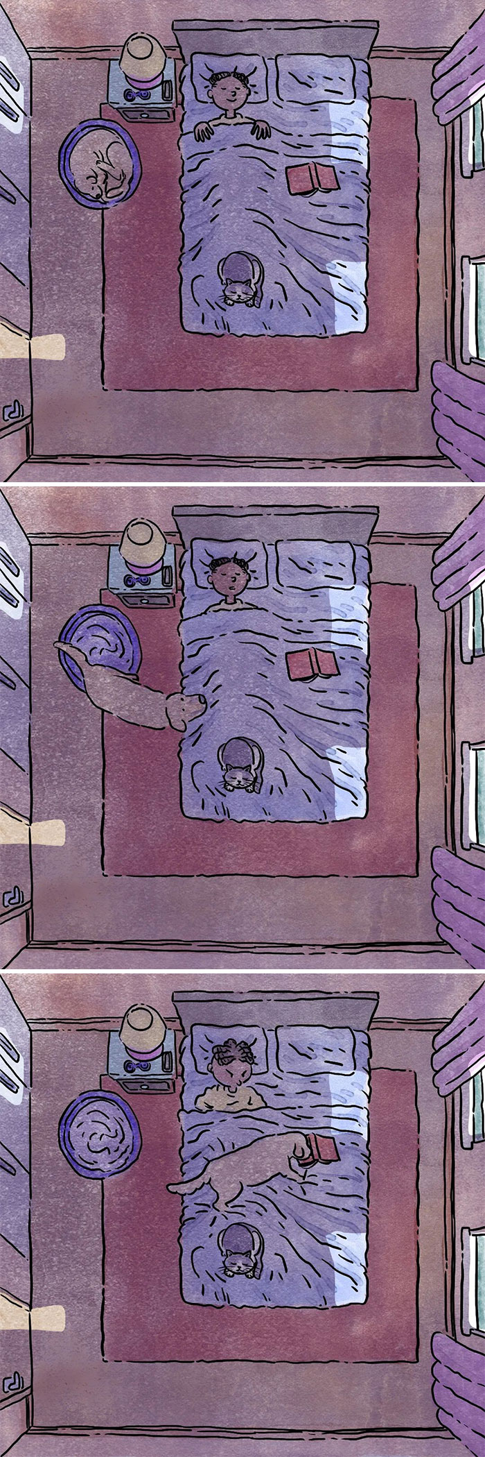 Emotional Comics About Life With A Dog And A Cat By Ademar Vieira (5 New Stories) Emotional Comics About Life With A Dog And A Cat By Ademar Vieira (5 New Stories)