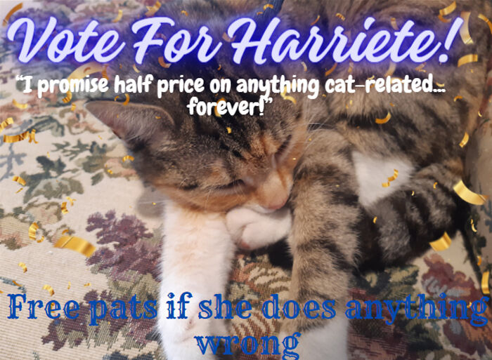 Vote For Harriete