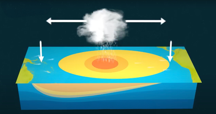 Huge Wave Caused By A Storm Attracted Surfers In Different Parts Of The World To Ride It Together Huge Wave Caused By A Storm Attracted Surfers In Different Parts Of The World To Ride It Together