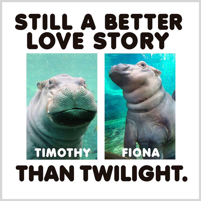 Sleepy, Cute And So Satisfying To Watch: Hippos Enjoying Underwater Spa Sleepy, Cute And So Satisfying To Watch: Hippos Enjoying Underwater Spa