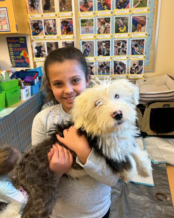 School Introduces Puppies To 1st Graders’ Reading Lesson, Soon Notices The Pupils Are Doing Better