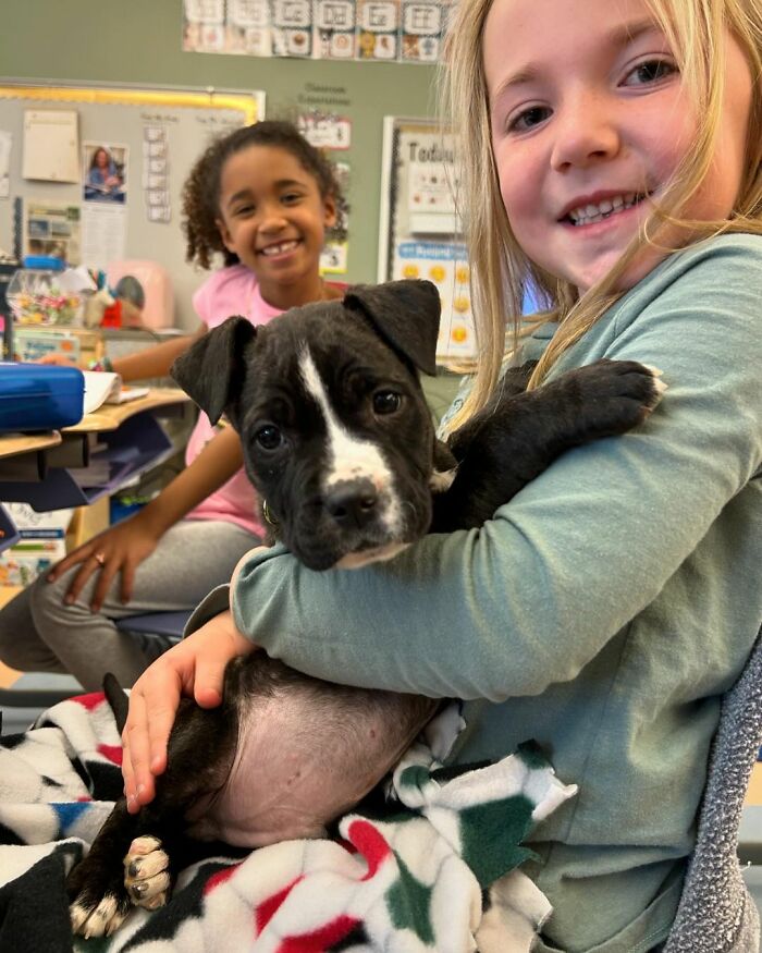 Teacher Introduces Puppy Therapy Program To Help Students With Reading