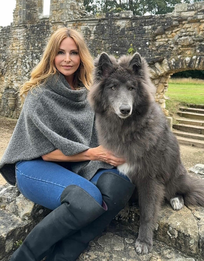 Woman Takes Care Of A Special Blue Wolf Dog, Notes That The Animal Does Not Suit Everyone Woman Takes Care Of A Special Blue Wolf Dog, Notes That The Animal Does Not Suit Everyone