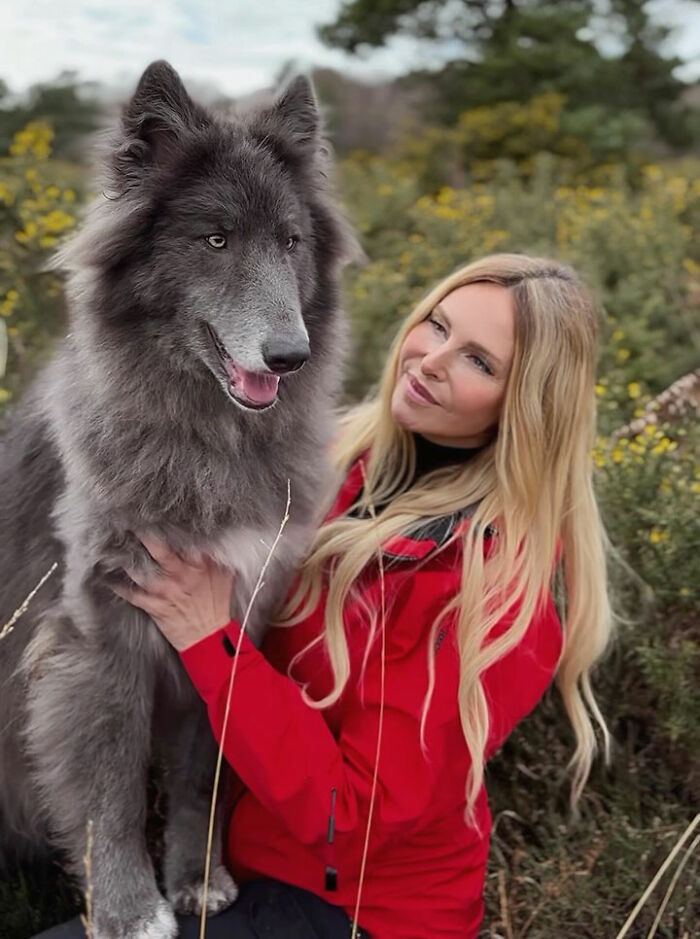 Woman Takes Care Of A Special Blue Wolf Dog, Notes That The Animal Does Not Suit Everyone Woman Takes Care Of A Special Blue Wolf Dog, Notes That The Animal Does Not Suit Everyone