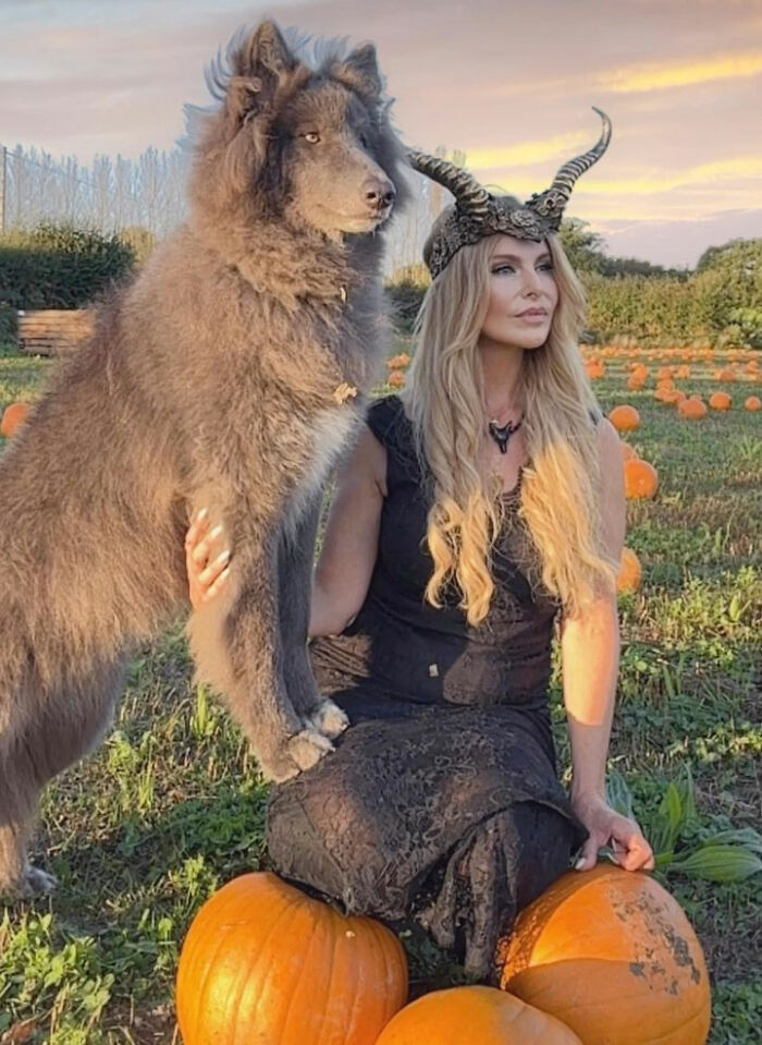 Woman Takes Care Of A Special Blue Wolf Dog, Notes That The Animal Does Not Suit Everyone Woman Takes Care Of A Special Blue Wolf Dog, Notes That The Animal Does Not Suit Everyone