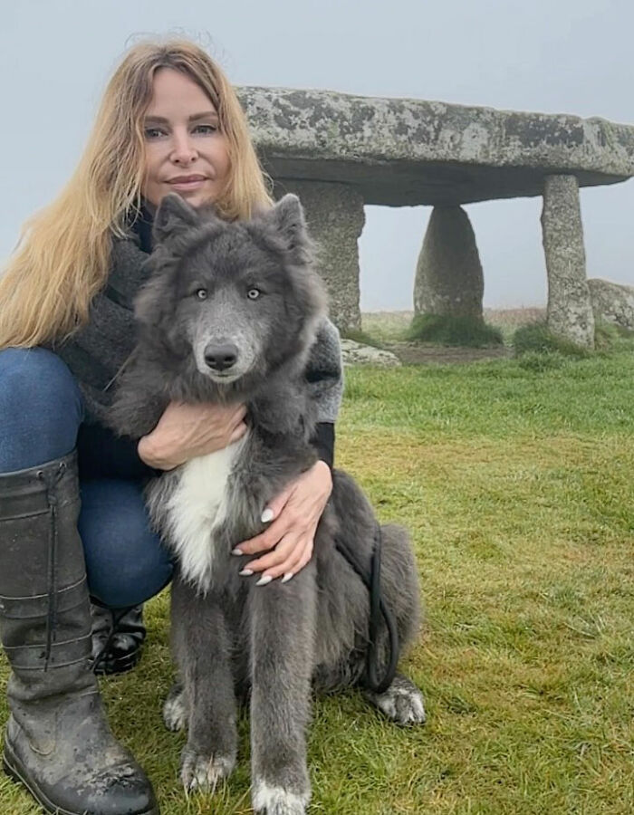 Woman Takes Care Of A Special Blue Wolf Dog, Notes That The Animal Does Not Suit Everyone Woman Takes Care Of A Special Blue Wolf Dog, Notes That The Animal Does Not Suit Everyone