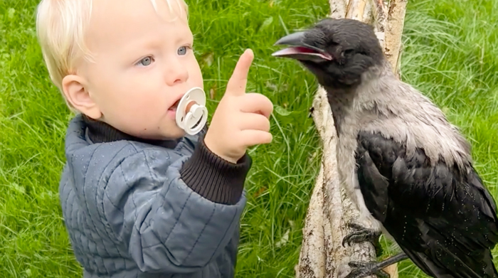 “They Have A Special Bond”: A 2-Year-Old Boy And His Crow