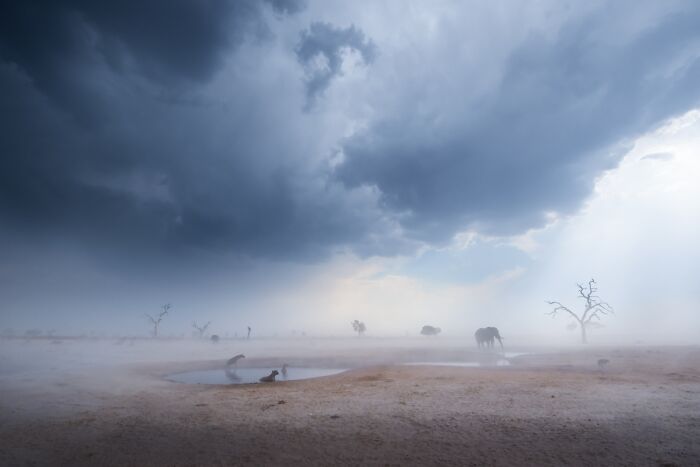 "Sandstorm" By Hannes Lochner