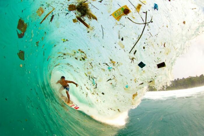 "Wave Of Change" By Zak Noyle