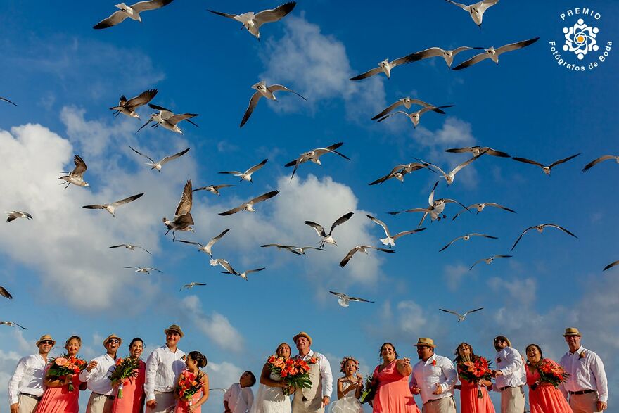 Who Invited The Seagulls? By Mike Dumonceau