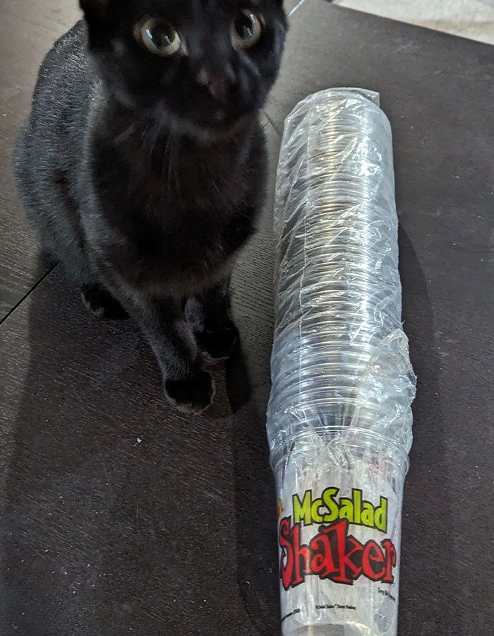 People Share Strange Items They Took From Past Jobs People Share Strange Items They Took From Past Jobs