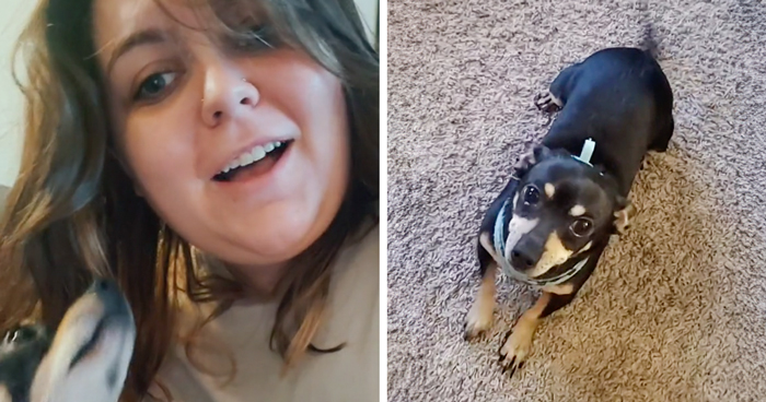 A Woman Discovers Hilarious Reason Why Her Newly Adopted Dog Kept Ignoring Her
