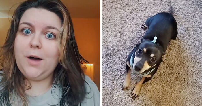 A Woman Discovers Hilarious Reason Why Her Newly Adopted Dog Kept Ignoring Her