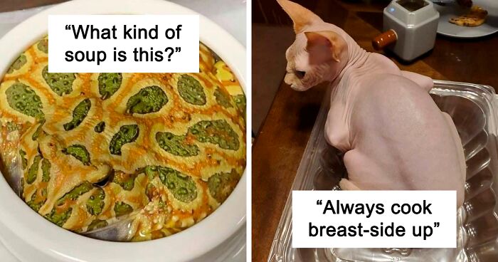 50 Hilarious Photos Of Animals Who Have An Uncanny Resemblance To Foods