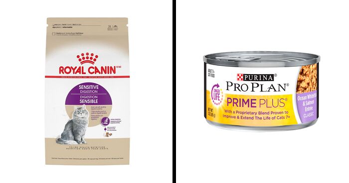 Best Cat Food For Sensitive Stomach, Approved By A Vet