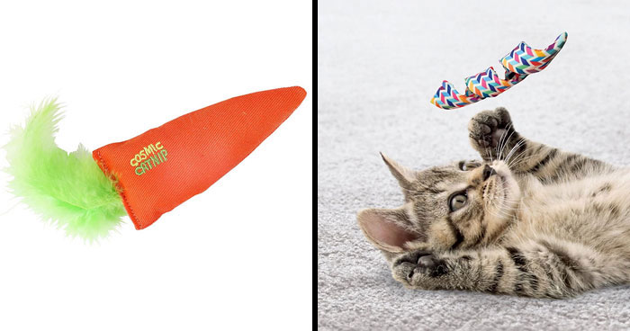 The Ultimate List Of Best Cat Toys For Bored Cats