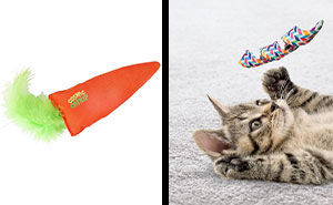 The Ultimate List Of Best Cat Toys For Bored Cats