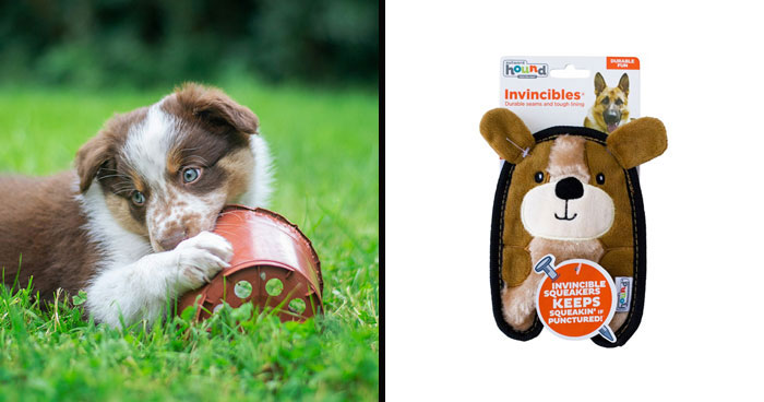 Best Chew Toys For Puppies With Itchy Teeth