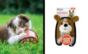 Best Chew Toys For Puppies With Itchy Teeth