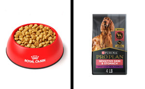 Best Dog Food For Allergies, According To Vet