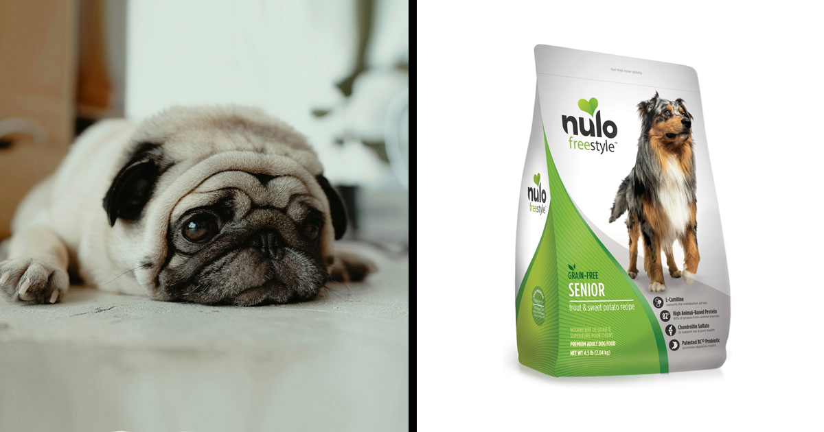 View of Best Dog Food For Sensitive Stomach, Recipes Approved By A Vet | Bored ...