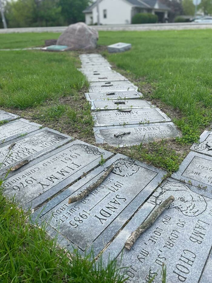 Alguien ha puesto un palito en la tumba de cada perro de este cementerio