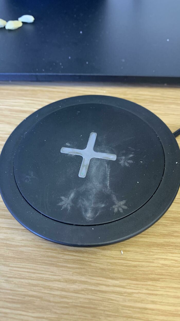 A Lizard Fell From The Ceiling And Left This Dusty Imprint On My Wireless Charger