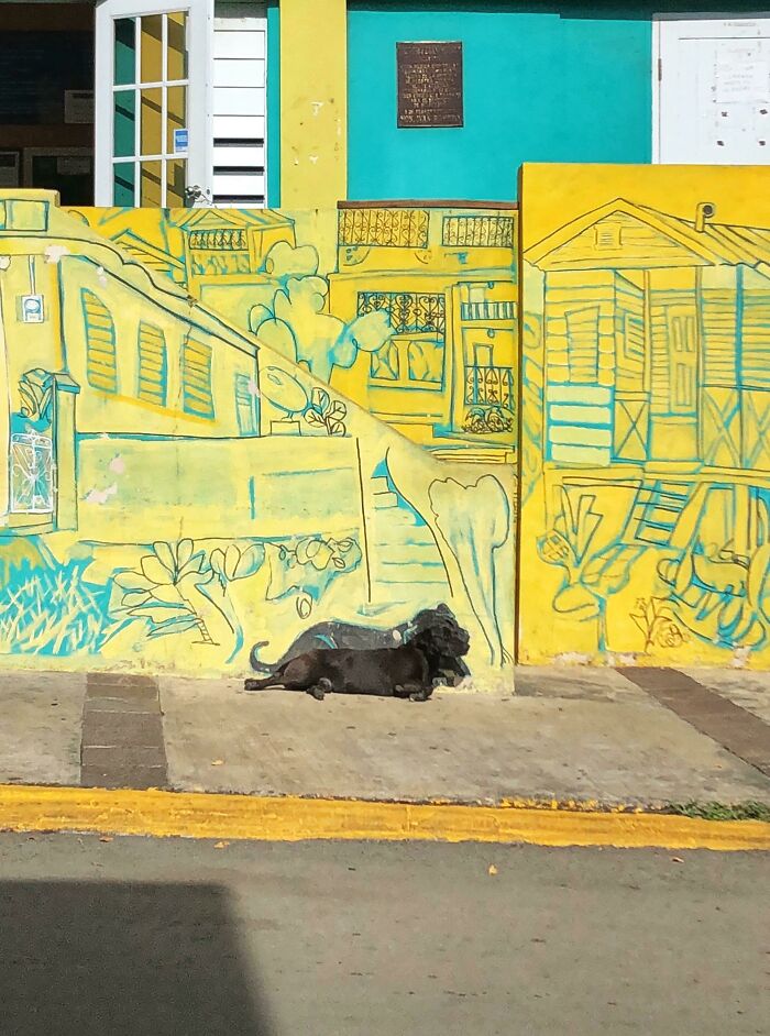 Mural en Puerto Rico pintado por los vecinos. No olvidaron incluir al perro