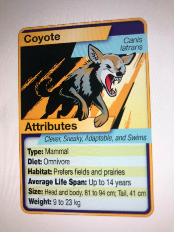 My Teacher Made Pokémon Animal Type Of Cards For Science