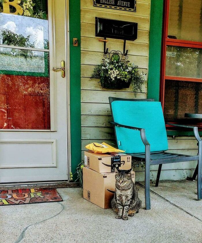 Mi casa, mi porche, mis paquetes, pero no mi gato. Creo que me los está cuidando