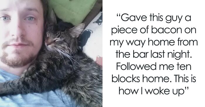 50 Hilariously Unexpected “My House, Not My Cat” Moments (Best-Of-All-Time Edition)
