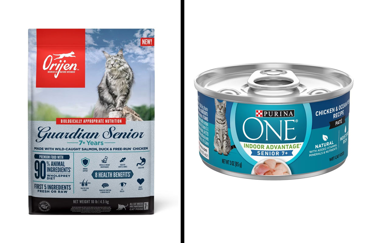 Best Senior Cat Food For Your Aging Feline, Reviewed By The Vet Bored