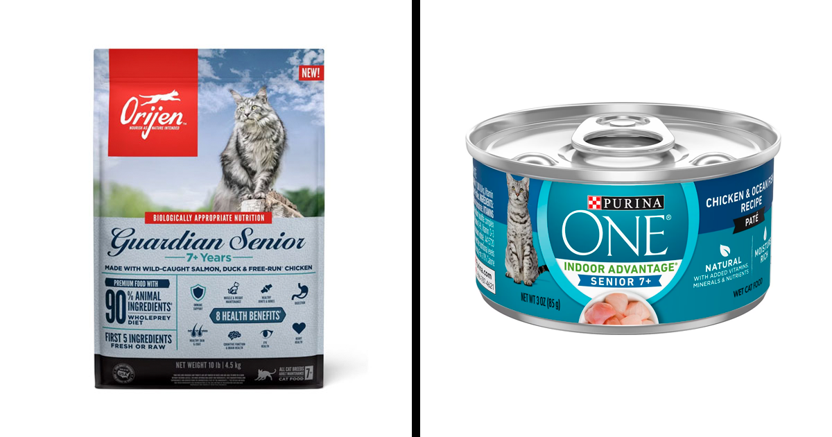 Best Senior Cat Food For Your Aging Feline, Reviewed By The Vet | Bored ... - Best Cat Food For Joint Support For Seniors