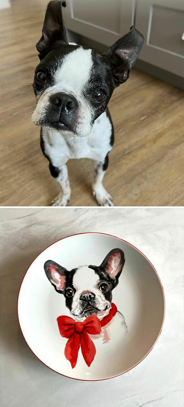 I Lost My Boston Terrier, Ollie, To Old Age This Summer And I’m Pretty Sure I Found Him At Goodwill Today As Christmas China