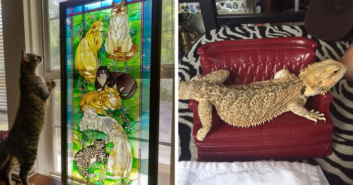 95 Times People Struck Gold When Shopping Secondhand (New Pics)