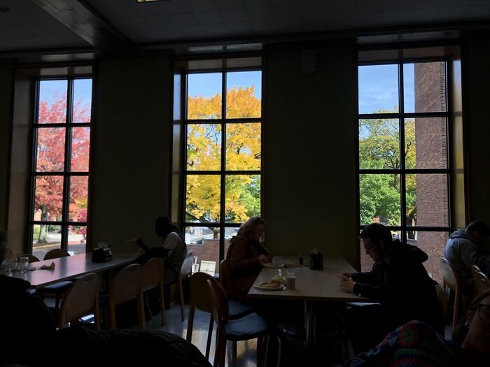 Each Window Has Different Colored Tree Leaves