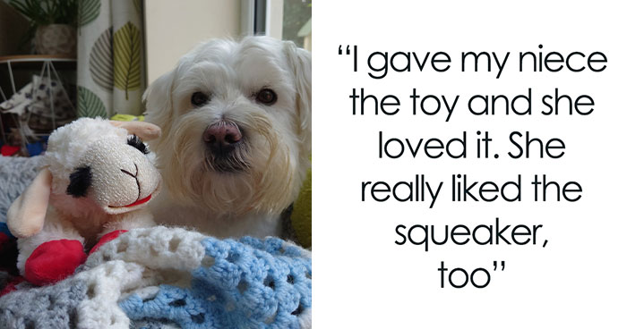 Mom Loses It At Sibling Because Of ‘Non-Traditional’ Toy They Got For Niece