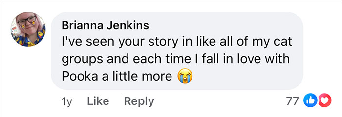 Woman Says The Bond With Her Cat Was Strengthened After The Cat Sneakily Consumed Her Toe Woman Says The Bond With Her Cat Was Strengthened After The Cat Sneakily Consumed Her Toe