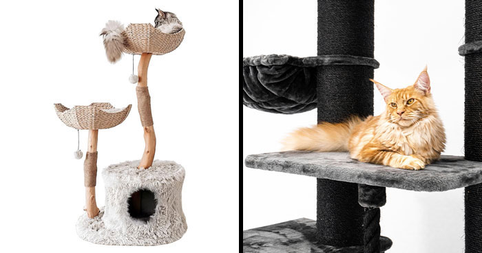 Best Cat Trees And Condos For Large Cats In 2024