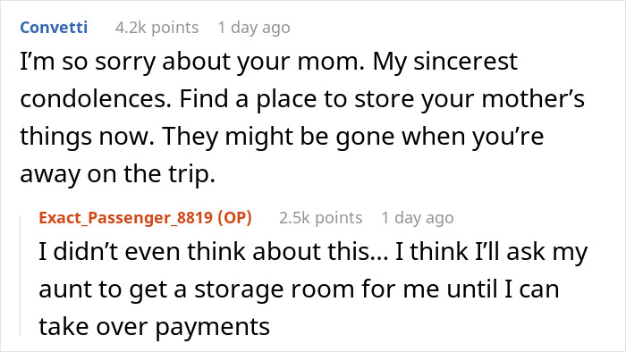 Teen Plans A Trip With Late Mom’s Sister, Loses It When Dad’s New Wife Tries To Take It Over