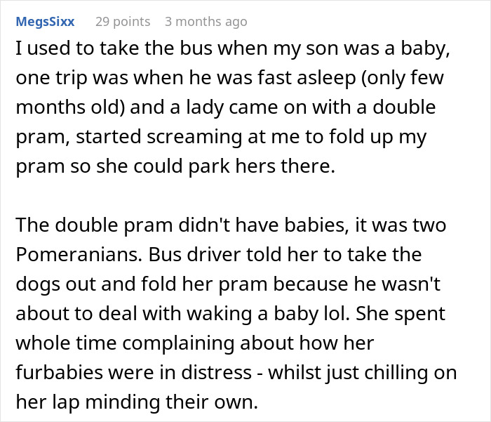 Entitled Mom Expects Person In Wheelchair To Walk So She Can Park Her Stroller, Gets Laughed At Entitled Mom Expects Person In Wheelchair To Walk So She Can Park Her Stroller, Gets Laughed At