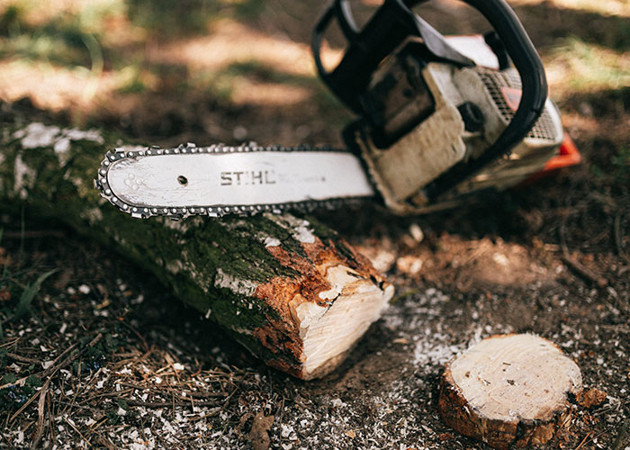 'Karen' Sues Neighbors Over Cutting A Tree, Makes A Fool Of Herself In Court 'Karen' Sues Neighbors Over Cutting A Tree, Makes A Fool Of Herself In Court