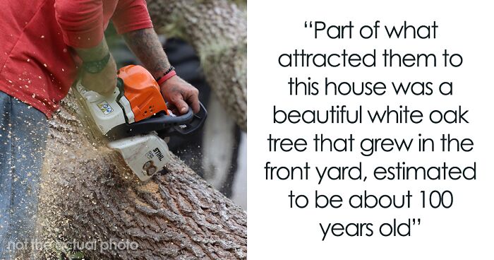 Environmentalist Karen Loses It Completely After Neighborhood Oak Is Cut Down