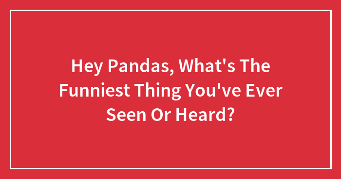 Hey Pandas, What’s The Funniest Thing You’ve Ever Seen Or Heard?