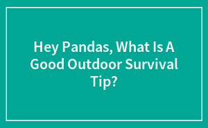 Hey Pandas, What Is A Good Outdoor Survival Tip?