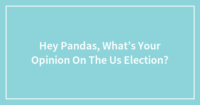 Hey Pandas, What’s Your Opinion On The US Election? (Closed)
